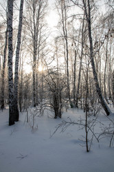 Similar image 22202852