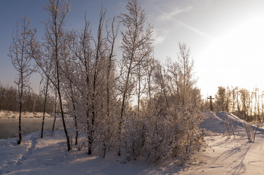 Similar image 22202854