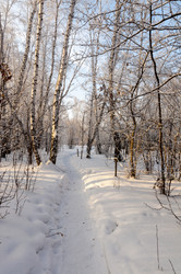 Similar image 22205906