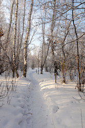 Similar image 22205907