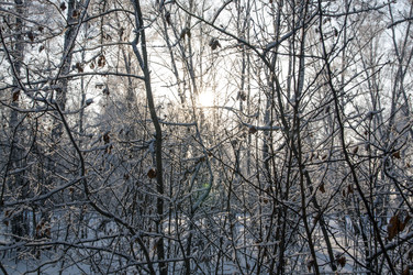 Similar image 22205912