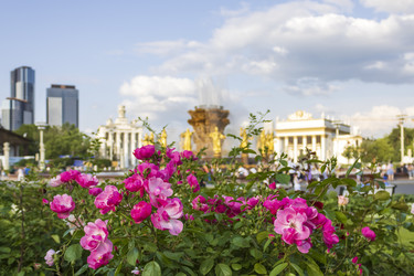 Similar image 22201754