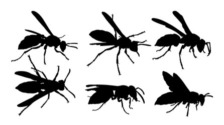 Similar image 22202230