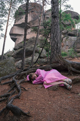 Similar image 22204502