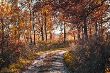 Similar image 22202231