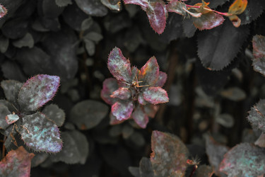 Similar image 22202232