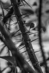 Similar image 22202233