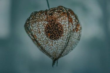 Similar image 22202234