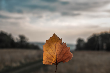 Similar image 22202235