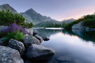 Similar image 22202455