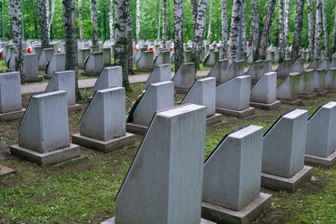 Similar image 22202473