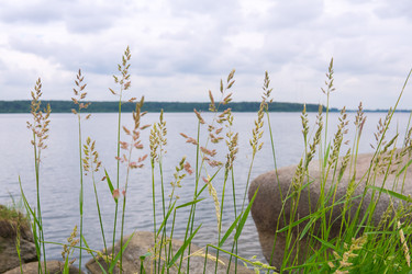 Similar image 22202474