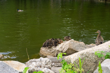 Similar image 22202475