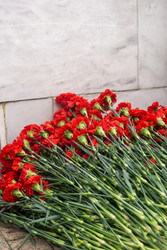 Similar image 22202477