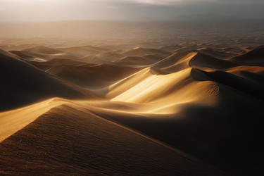 Similar image 22202478