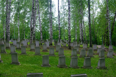 Similar image 22202482