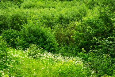 Similar image 22202483