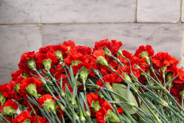 Similar image 22202484