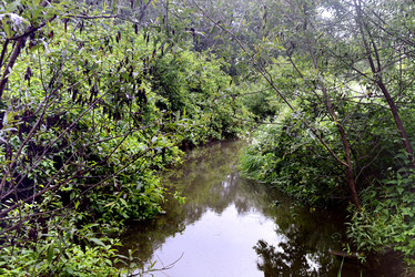 Similar image 22201757