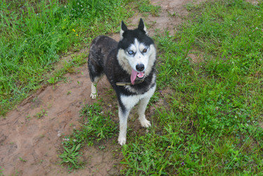 Similar image 22201758