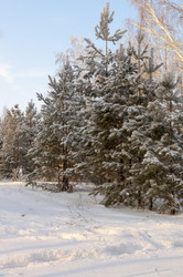 Similar image 22205514