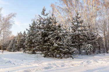 Similar image 22205516