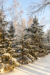 Similar image 22205517