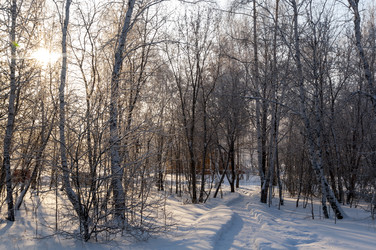 Similar image 22205914