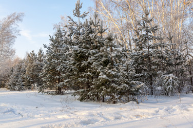 Similar image 22205916