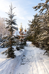 Similar image 22205922