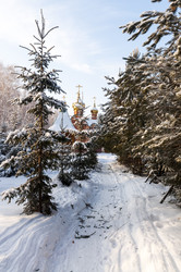 Similar image 22205924