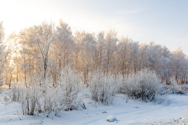 Similar image 22205927