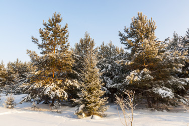 Similar image 22205930