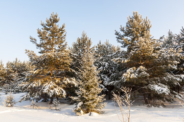 Similar image 22205931