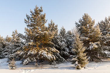 Similar image 22205933