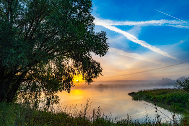 Similar image 22201773