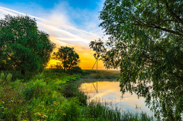 Similar image 22201776