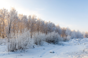 Similar image 22205518