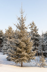 Similar image 22205519