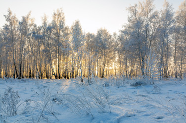 Similar image 22205520