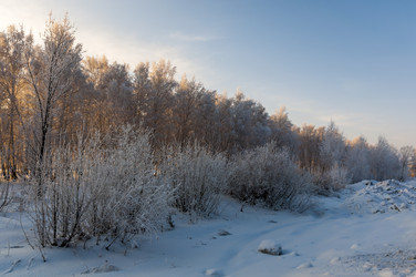 Similar image 22205521