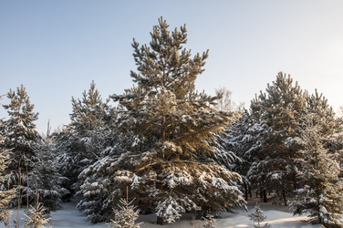 Similar image 22205522