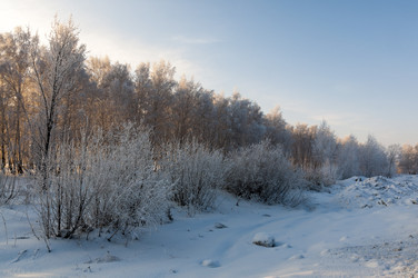 Similar image 22205523