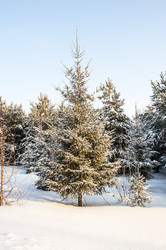 Similar image 22205524