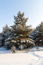 Similar image 22205525