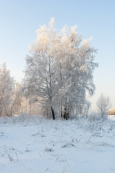 Similar image 22205526