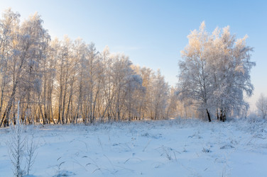 Similar image 22205527