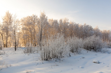 Similar image 22205528