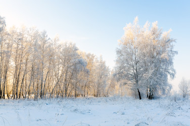 Similar image 22205529