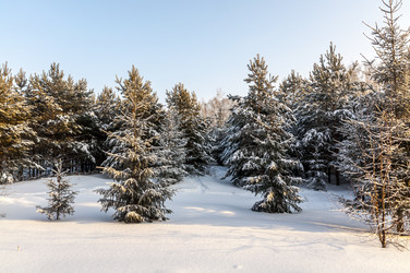 Similar image 22205530